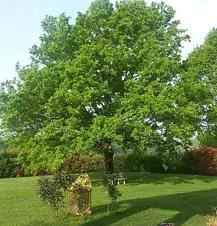 Quaderna Bed & Breakfast Ozzano dell'Emilia